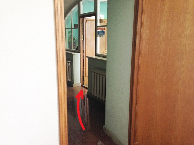 офис 313, Лунный Свет
